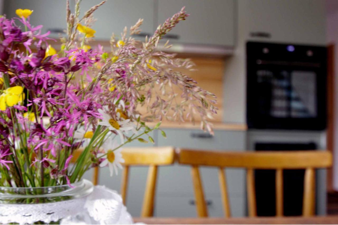 Ochsenhof Apartment Mainleus ภายนอก รูปภาพ